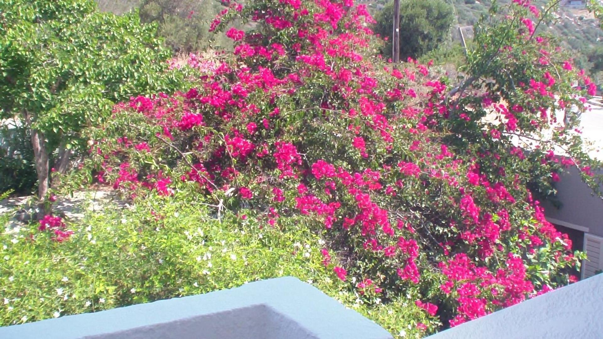Creta Vassakis Studios 2 Kéfalos Buitenkant foto