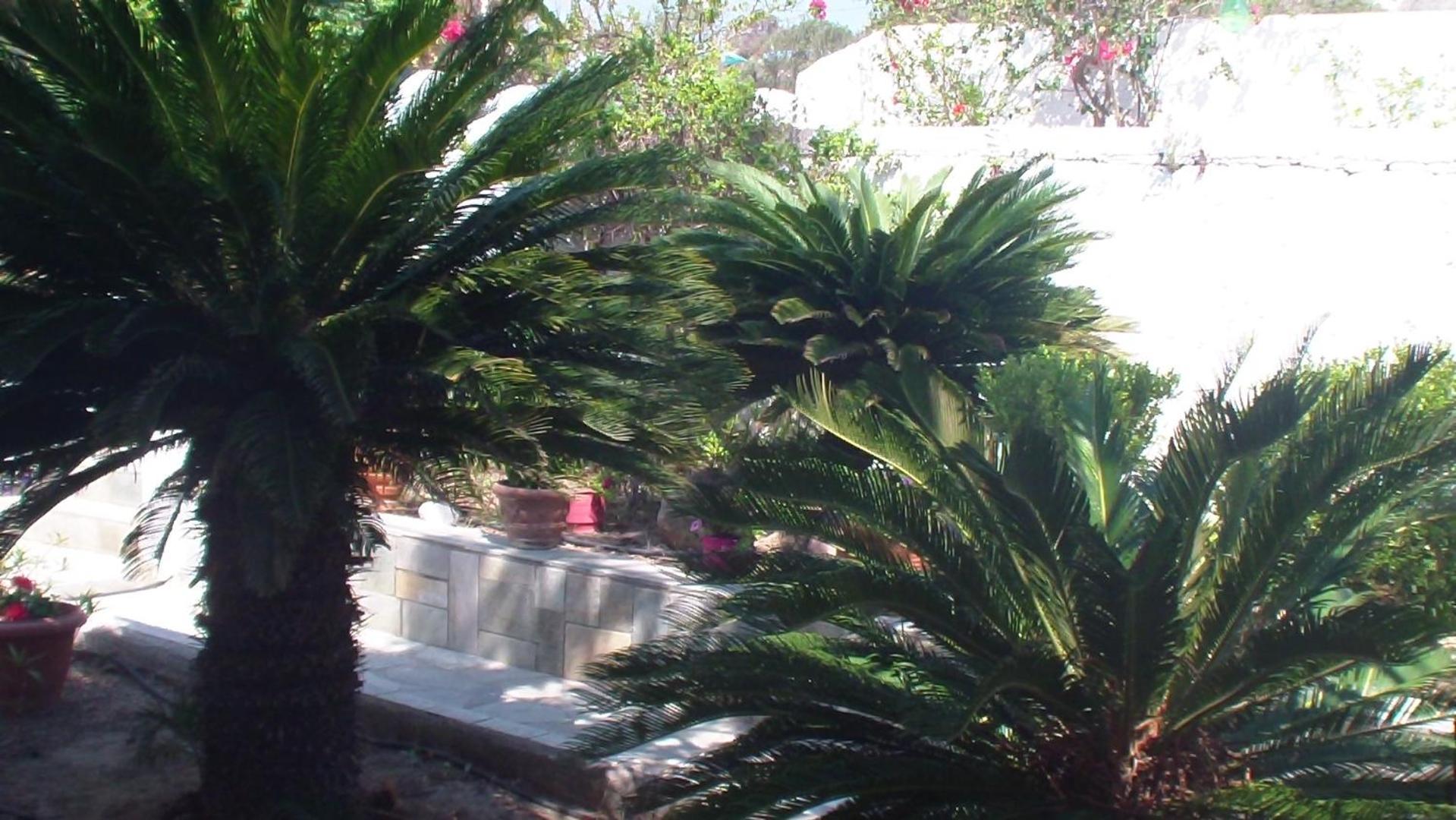 Creta Vassakis Studios 2 Kéfalos Buitenkant foto